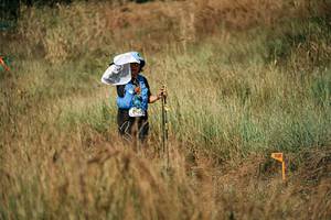 BIB: 
                            <button type="button" onclick="openModal(26056038)" class="btn btn-primary btn-sm float-right btn-popup" data-toggle="modal" data-target=".modal-high-quality">
                        <i class="fas fa-shopping-cart"></i> Add to Cart
                    </button>
                                            <button type="button" onclick="isThisMe(26056038, true)" class="btn btn-success btn-sm float-right btn-popup btn-isme hidden" data-toggle="tooltip" data-placement="bottom" title="นี่คือรูปของคุณใช่ไหม คลิกที่นี่เพื่อเอาเข้าอัลบั้ม">
                        <i class="fas fa-plus"></i> Add to album
                    </button>
                    <button type="button" onclick="isThisMe(26056038, false)" class="btn btn-warning btn-sm float-right btn-popup btn-isnotme hidden">
                        <i class="fas fa-ban"></i> Remove from album
                    </button>